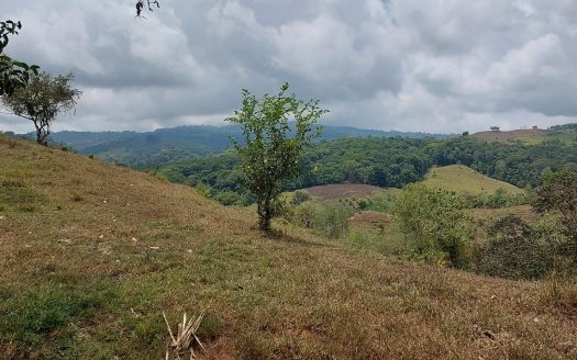 Quepos>Savegre For Sale 29941 | RE/MAX Costa Rica Real Estate