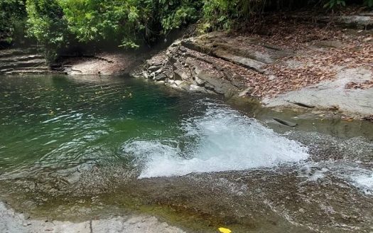 Quepos>Savegre For Sale 29984 | RE/MAX Costa Rica Real Estate