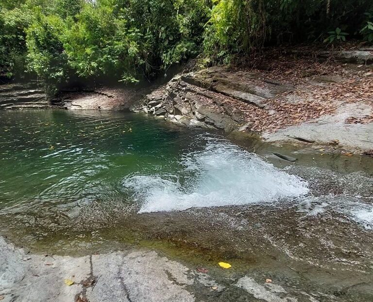 Quepos>Savegre For Sale 29984 | RE/MAX Costa Rica Real Estate