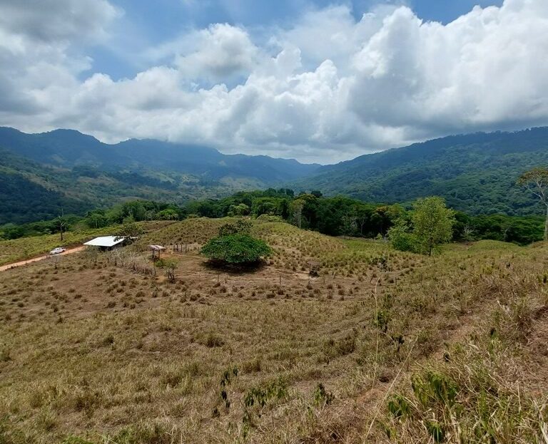 Quepos>Savegre For Sale 29986 | RE/MAX Costa Rica Real Estate