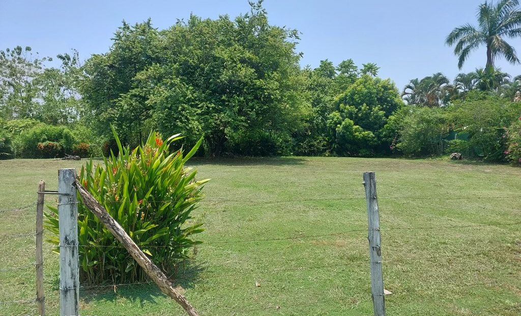 Quepos>Savegre For Sale 30100 | RE/MAX Costa Rica Real Estate