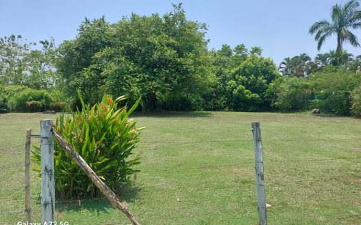 Quepos>Savegre For Sale 30100 | RE/MAX Costa Rica Real Estate