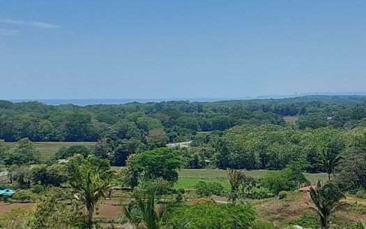 New gated community of 1.25 acre lots