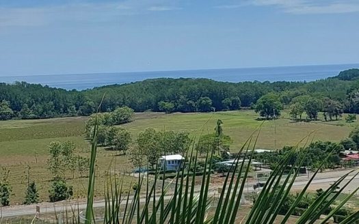 Quepos>Savegre For Sale 30112 | RE/MAX Costa Rica Real Estate