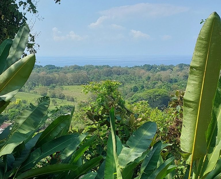 Quepos>Savegre For Sale 30132 | RE/MAX Costa Rica Real Estate