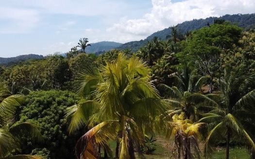 Big property at a small price for this countryside paradise