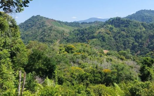 Quepos>Savegre For Sale 30220 | RE/MAX Costa Rica Real Estate