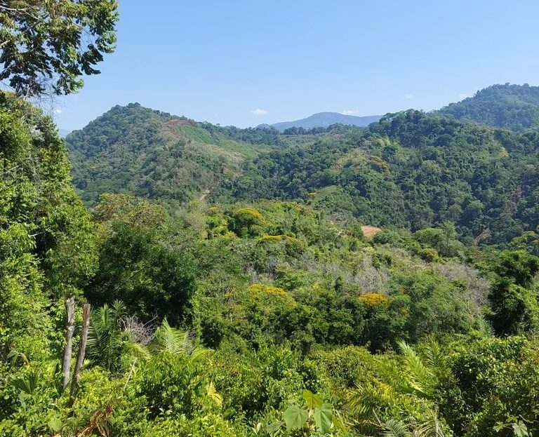 Quepos>Savegre For Sale 30220 | RE/MAX Costa Rica Real Estate