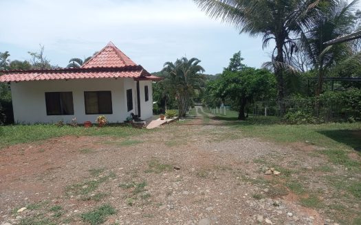 4 cabins with room to grow!