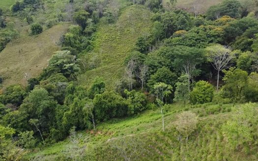 Big, Beautiful, and affordable!