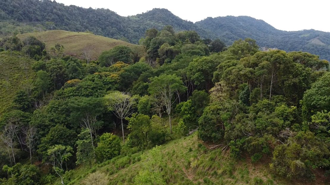 Quepos>Savegre For Sale 30299 | RE/MAX Costa Rica Real Estate