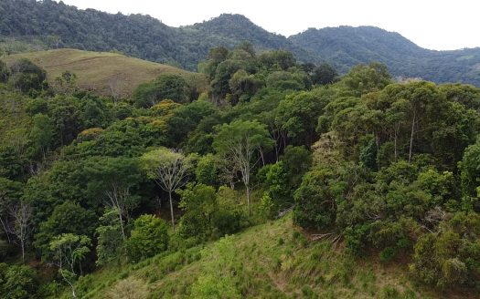 Quepos>Savegre For Sale 30299 | RE/MAX Costa Rica Real Estate