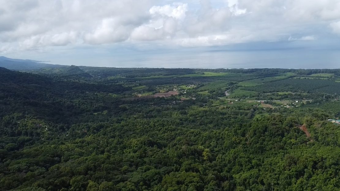 Quepos>Savegre For Sale 30395 | RE/MAX Costa Rica Real Estate