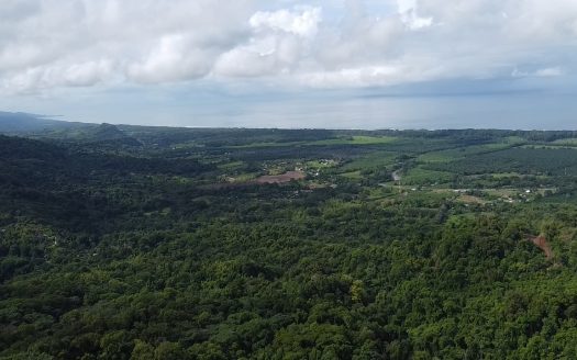 Quepos>Savegre For Sale 30395 | RE/MAX Costa Rica Real Estate