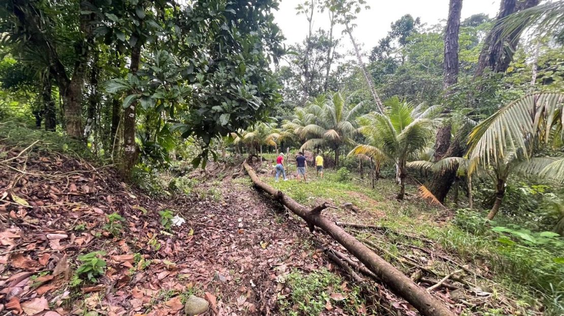 Quepos>Savegre For Sale 30494 | RE/MAX Costa Rica Real Estate