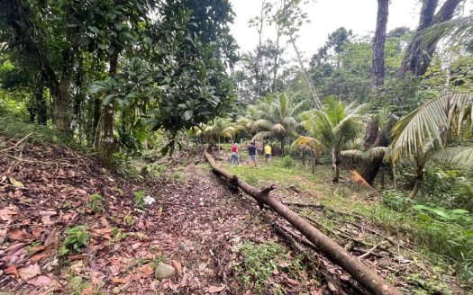 Quepos>Savegre For Sale 30494 | RE/MAX Costa Rica Real Estate