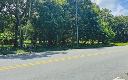 Investment Opportunity a couple minutes from the beach