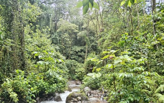 Downtown Hatillo lot