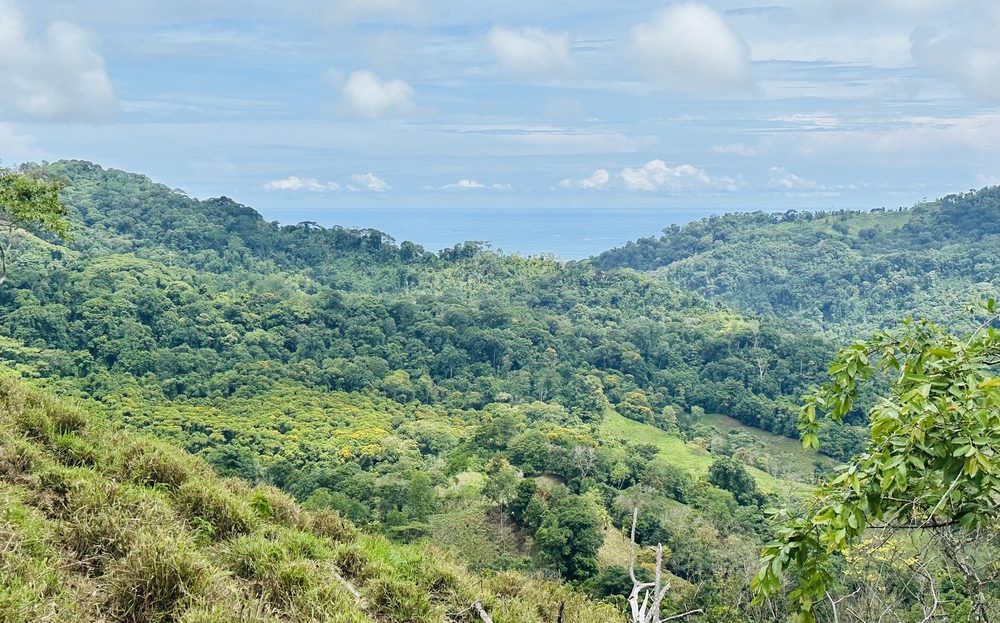 Quepos>Savegre For Sale 30739 | RE/MAX Costa Rica Real Estate