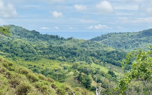 Quepos>Savegre For Sale 30739 | RE/MAX Costa Rica Real Estate