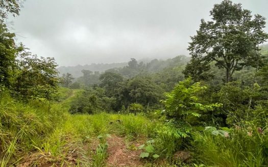 Multiple waterfalls | Nature trails | Fresh air | 20 min from Playa Linda | All in 19.5 hectares