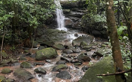 Quepos>Savegre For Sale 30899 | RE/MAX Costa Rica Real Estate