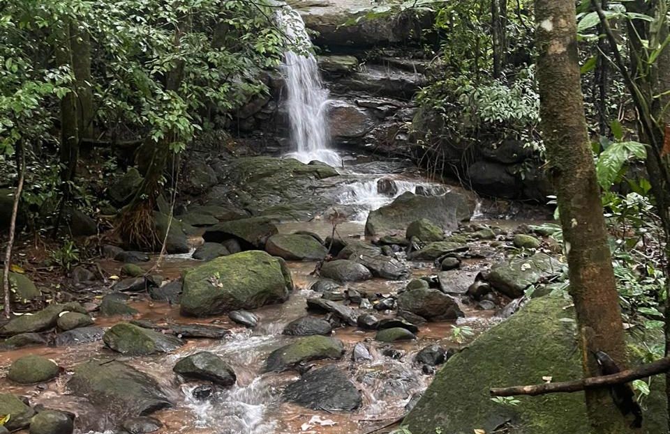 Quepos>Savegre For Sale 30899 | RE/MAX Costa Rica Real Estate