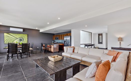 Los Altos – Rainforest 23B