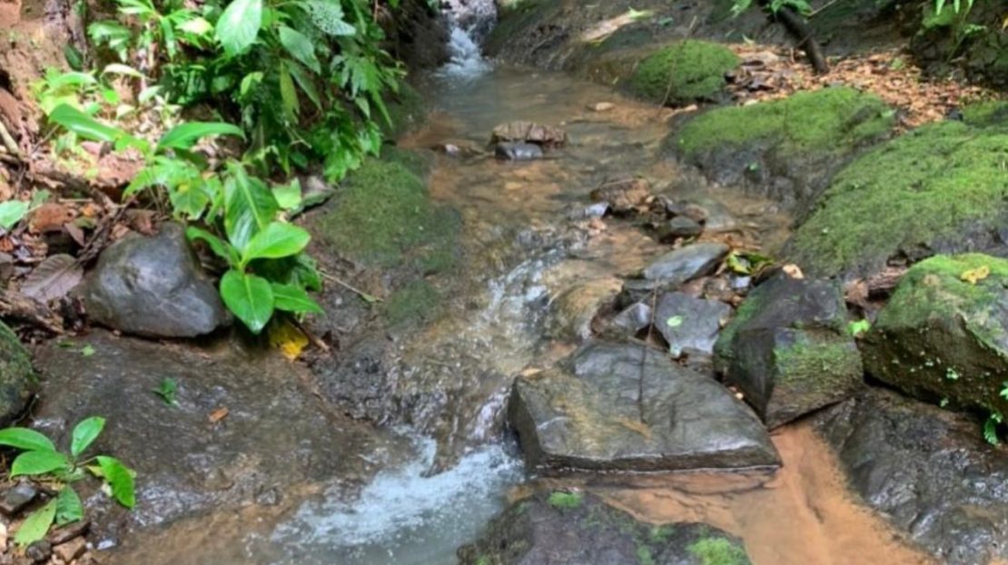 Tárcoles>Bijagual  86213 | RE/MAX Costa Rica Real Estate