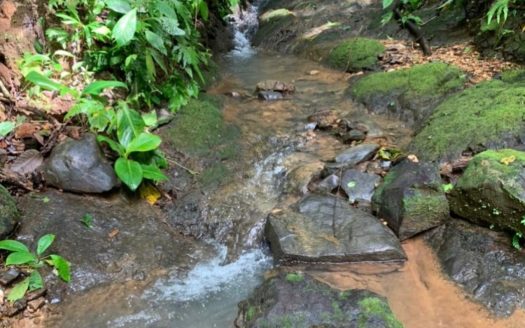 Tárcoles>Bijagual  86213 | RE/MAX Costa Rica Real Estate