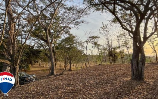 LOTS FOR SALE / NEAR CERRO LODGE HOTEL