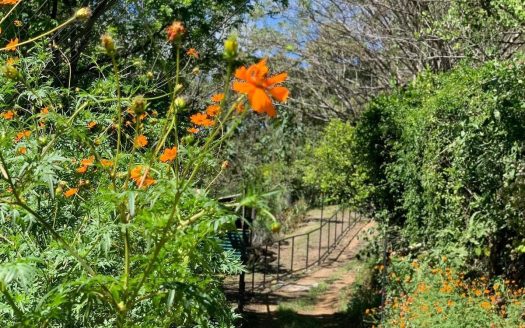 Beautiful property in nature