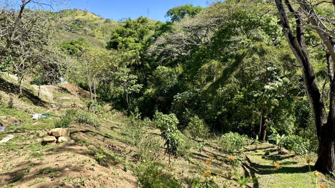 Property with forest and ready to continue with construction. Choose your design or follow the construction plans.