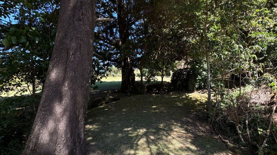 Costa Rica Real Estate