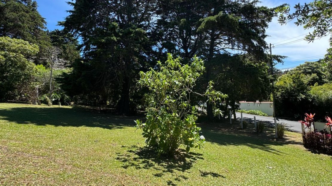 Gran Oportunidad: Lote de 4