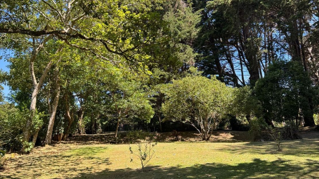 362 m² Listo para Construir