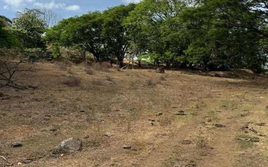 15-Hectare Development Land for Sale in El Coyol, Alajuela
