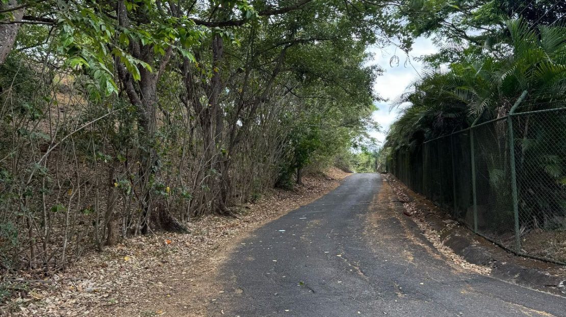 15-Hectare Development Land for Sale in El Coyol