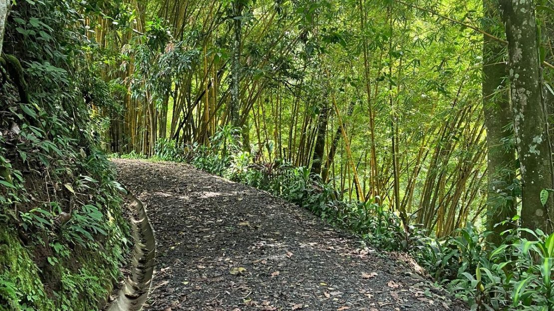 Ideal shovel-ready Farm for a private development for USD $295