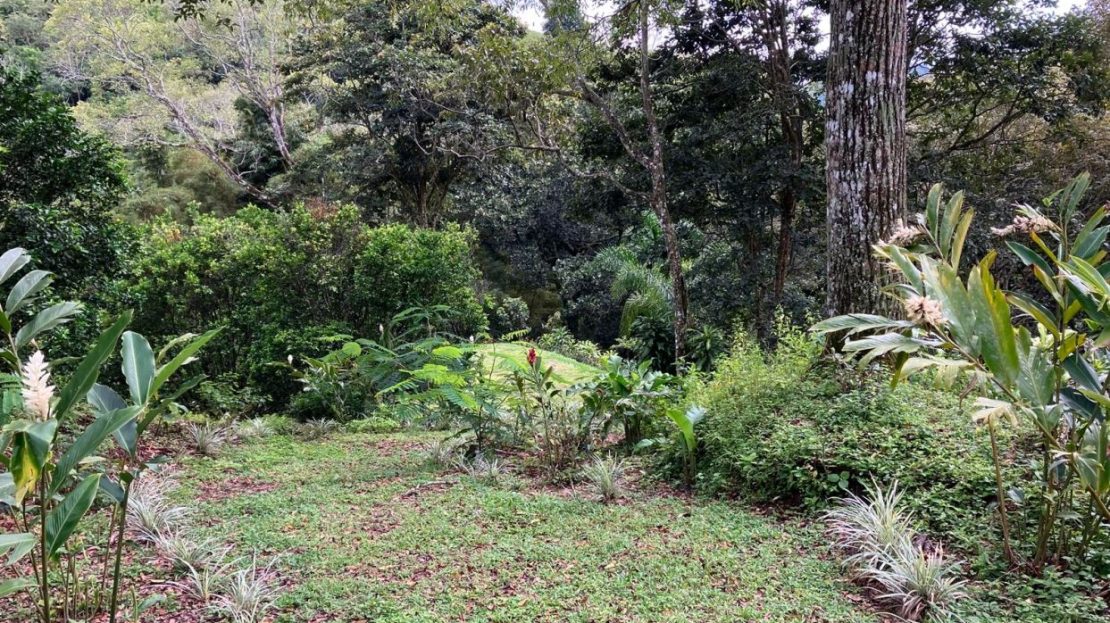 Costa Rica Real Estate