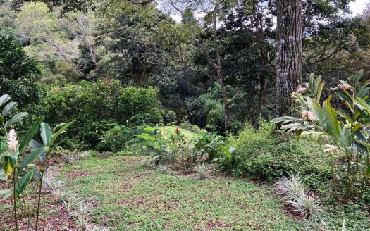 Ideal shovel-ready Farm for a private development for USD $295,000.