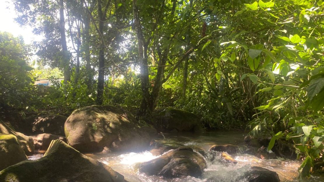 058 M²  IN THE HEART SAN PEDRO