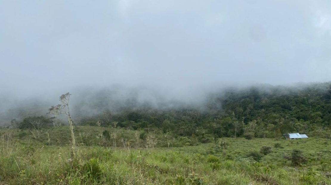 Costa Rica Real Estate