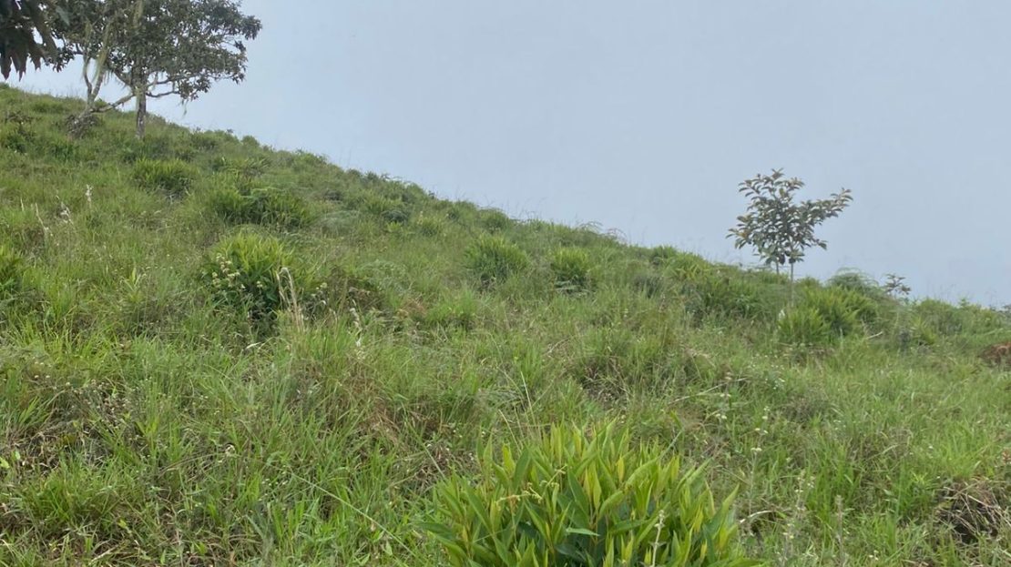 Puntarenas – Near La Amistad Park