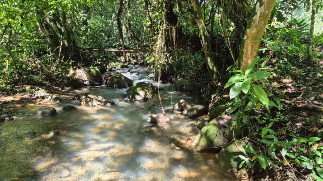 10+ Hectares in the Heart of Quizarrá; Natural Beauty and Prime Location