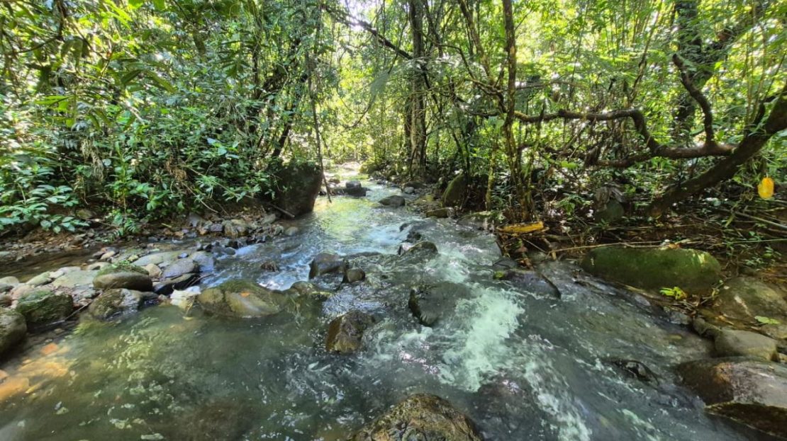 Costa Rica Real Estate