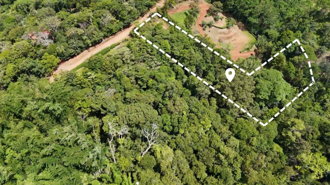 3 hectares for  sale in the amazing area of Pedregocito