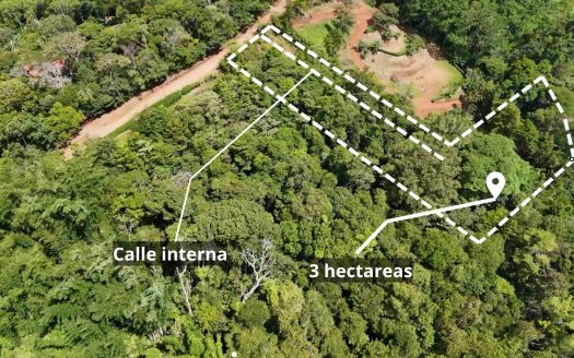 3 hectares for sale in the amazing area of Pedregocito