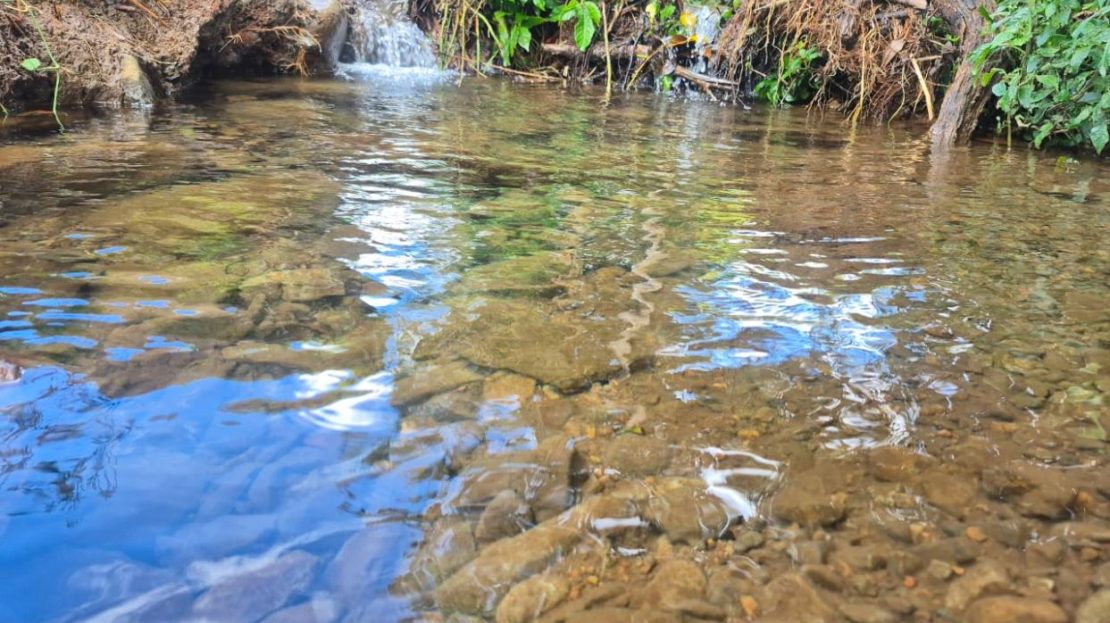 Scenic 2.3-Hectare Coffee Farm with Spring