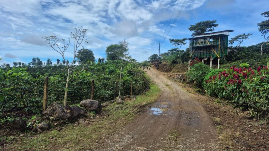 Stream & Views in Santa Elena